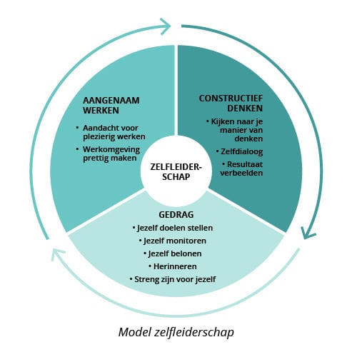 Model_zelfleiderschap